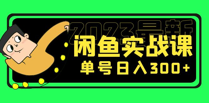 （5117期）花599买的闲鱼项目：2023最新闲鱼实战课，单号日入300+（7节课）-创奇社