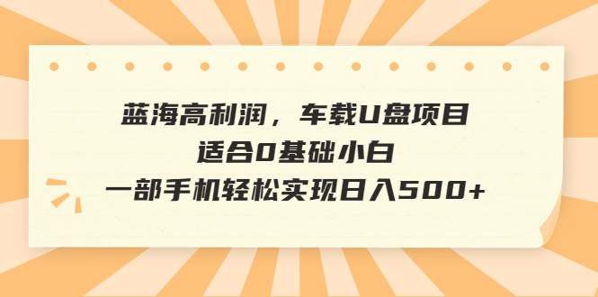 （6600期）蓝海高利润，车载U盘项目，适合0基础小白，一部手机轻松实现日入500+-1