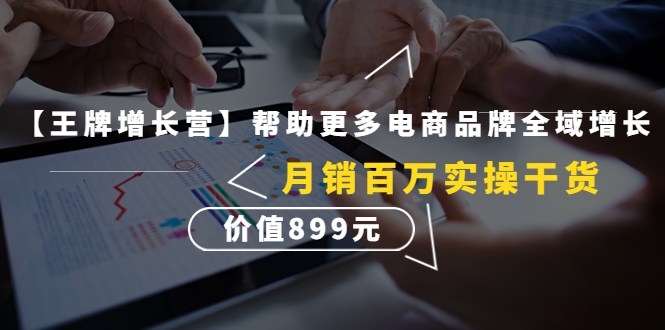 （4264期）【王牌增长营】帮助更多电商品牌全域增长，月销百万实操干货，价值899元-创奇社