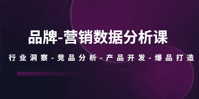 （5565期）品牌-营销数据分析课，行业洞察-竞品分析-产品开发-爆品打造-创奇社 - AI前沿·副业变现·资源教程！