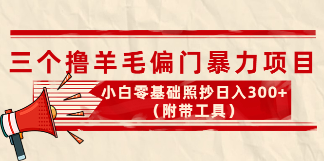 （4110期）外面卖998的三个撸羊毛偏门暴力项目，小白零基础照抄日入300+（附带工具）-创奇社