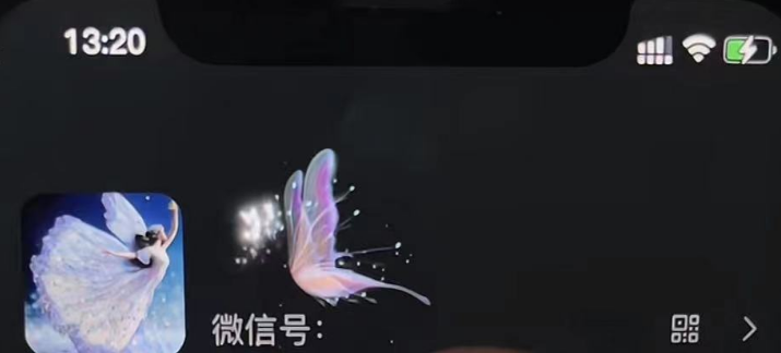（4980期）微信动态昵称设置方法，可抖音直播引流，日赚上百【详细视频教程+素材】-3