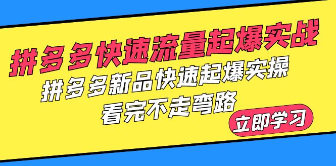 （6253期）拼多多-快速流量起爆实战，拼多多新品快速起爆实操，看完不走弯路-创奇社 - AI前沿·副业变现·资源教程！