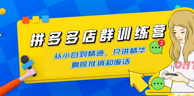 （4318期）拼多多店群训练营：从小白到精通，只讲精华，剔除推销和废话-创奇社