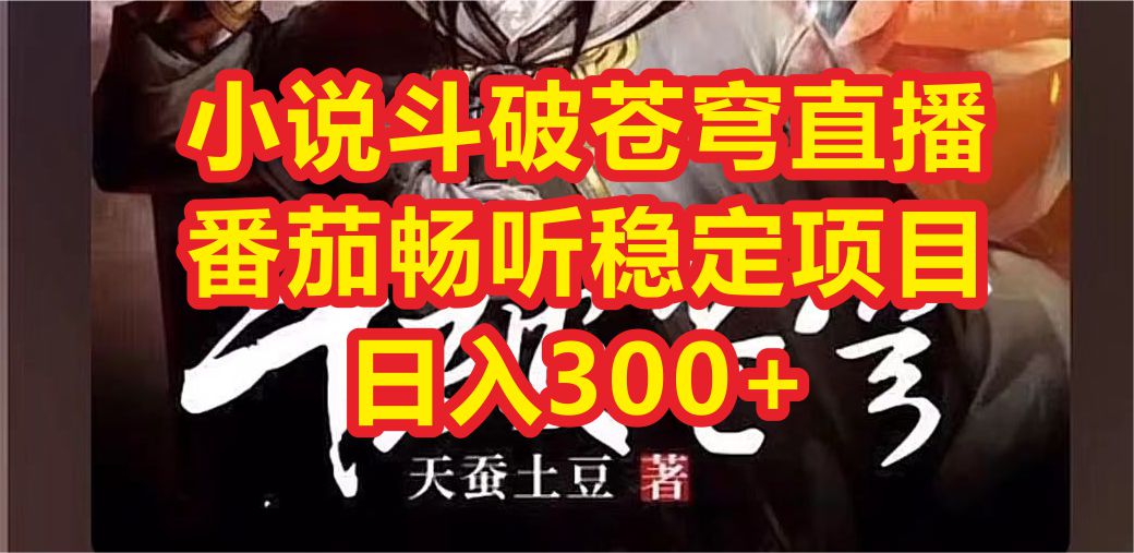 （6584期）小说斗破苍穹直播，番茄畅听日入300+稳定项目-1