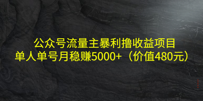 （4011期）公众号流量主暴利撸收益项目，单人单号月稳赚5000+（价值480元）-创奇社 - AI前沿·副业变现·资源教程！