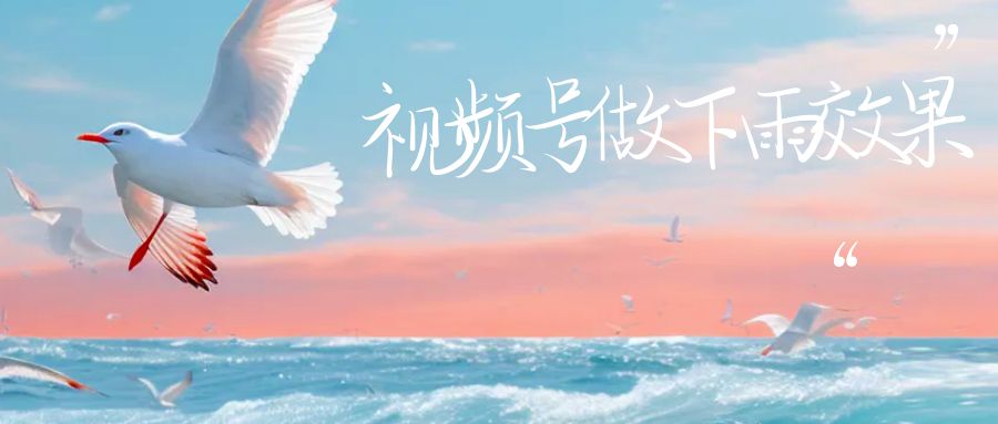 （6637期）视频号做下雨视频一个账号一周涨粉10W+年入100w-创奇社