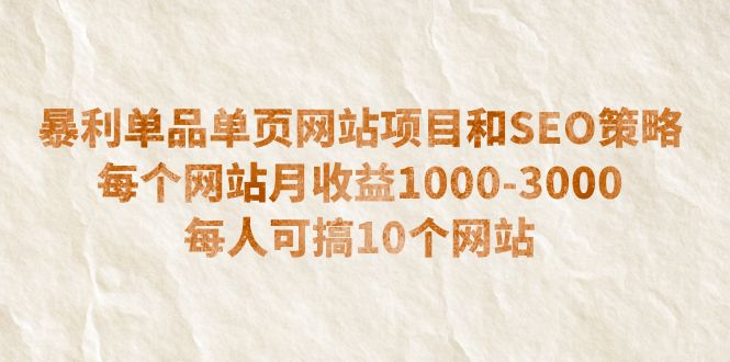 （6503期）暴利单品单页网站项目和SEO策略  每个网站月收益1000-3000  每人可搞10个-创奇社