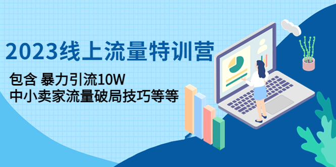 （4567期）2023线上流量特训营：包含暴力引流10W+中小卖家流量破局技巧等等-创奇社