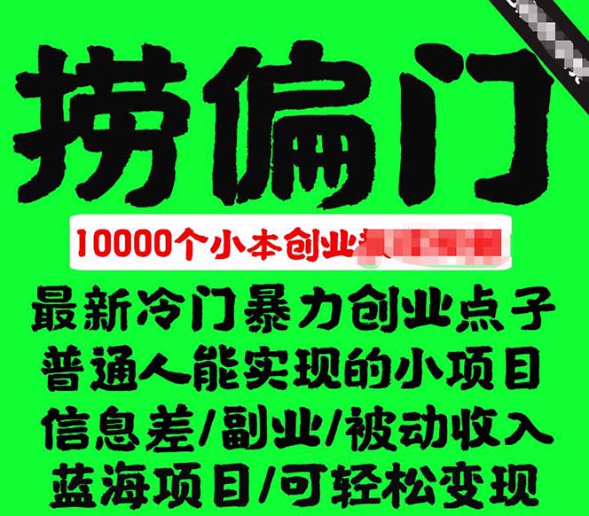 （5750期）千款捞偏门小本创业小项目，总有一款适合你【无水印】-2