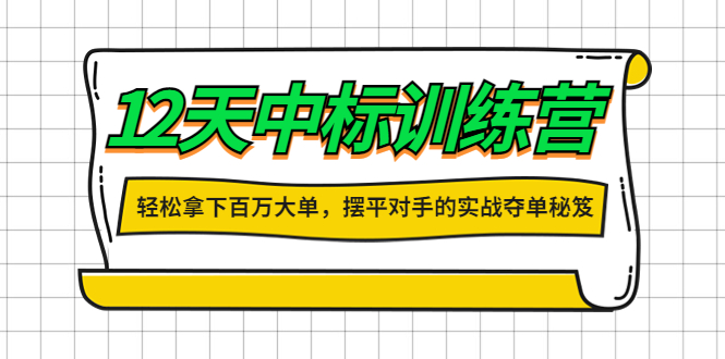 （4116期）12天中标训练营：轻松拿下百万大单，摆平对手的实战夺单秘笈！-1