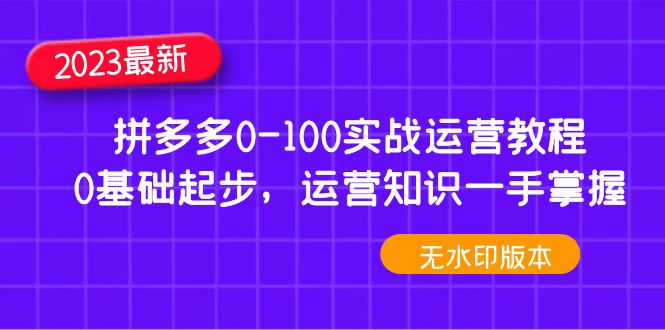 （4835期）2023拼多多0-100实战运营教程，0基础起步，运营知识一手掌握（无水印）-创奇社 - AI前沿·副业变现·资源教程！