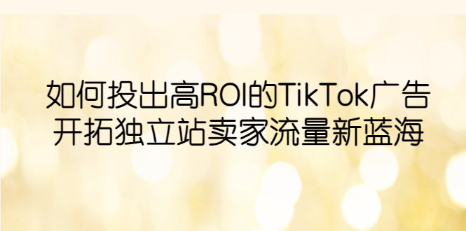 （6102期）如何投出高ROI·TikTok广告，开拓独立站卖家流量新蓝海-创奇社