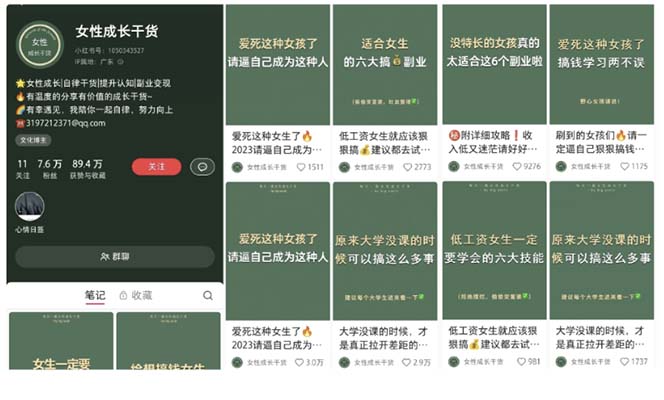 （5852期）小红书各行业引流玩法，从养号到制作到引流等，一条龙分享给你-创奇社