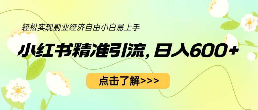 （6515期）小红书精准引流，小白日入600+，轻松实现副业经济自由（教程+1153G资源）-创奇社