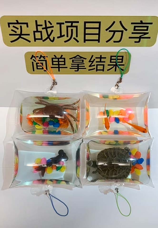 （5392期）最近抖音很火的泡泡鱼手工小成本地摊创业项目，日賺500+项目课程解析-3