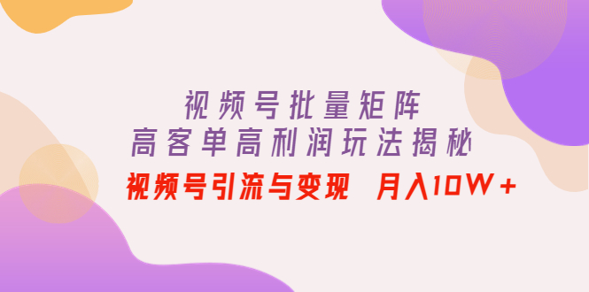 （4193期）视频号批量矩阵的高客单高利润玩法揭秘： 视频号引流与变现 月入10W+-1