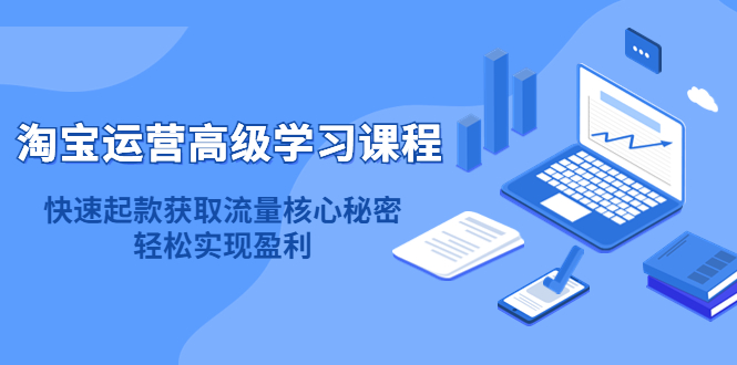 （4385期）淘宝运营高级学习课程：快速获取流量核心秘密，轻松实现盈利！-创奇社