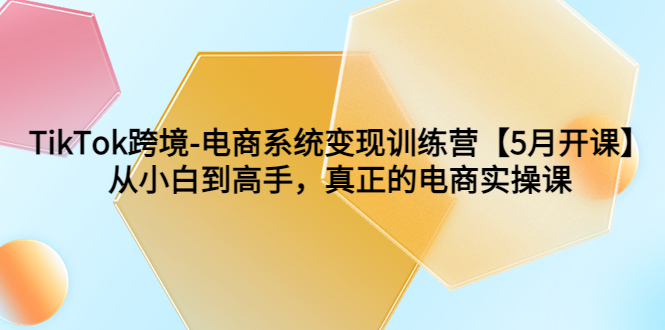 （6058期）TikTok跨境-电商系统变现训练营【5月新课】从小白到高手，真正的电商实操课-创奇社