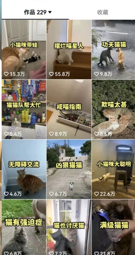 （6568期）拆解：抖音盘点类中视频变现副业项目，视频版一条龙大解析分享给你-3