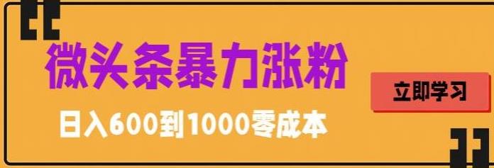 （5950期）微头条暴力涨粉技巧搬运文案就能涨几万粉丝，简单0成本，日赚600-创奇社