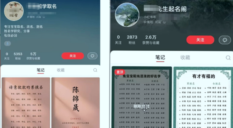 （6190期）【新课】冷门暴利项目：给宝宝起名（一单200+）内附教程+工具-3