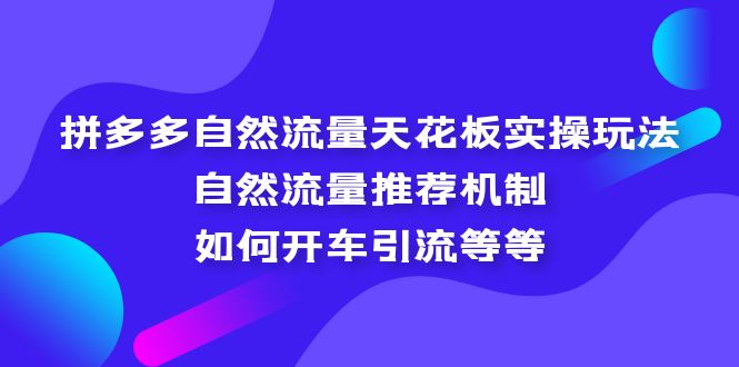 （5327期）拼多多自然流量天花板实操玩法：自然流量推荐机制，如何开车引流等等-创奇社