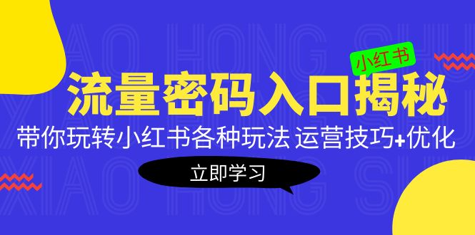 （5179期）小红书流量密码入口揭秘：带你玩转小红书各种玩法 运营技巧+优化！-创奇社
