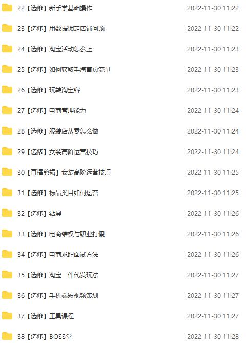 （4409期）淘系天猫电商业绩增长：已培养上千位卖家实现100W+利润（700节30G课程）-3