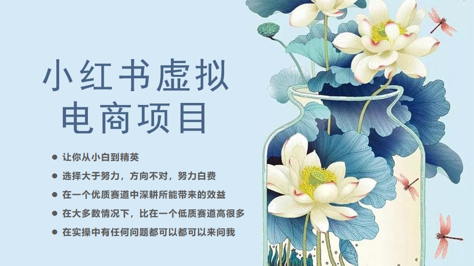 （6607期）小红书虚拟电商从0到1，让你从小白到精英（20节实操课程）-1