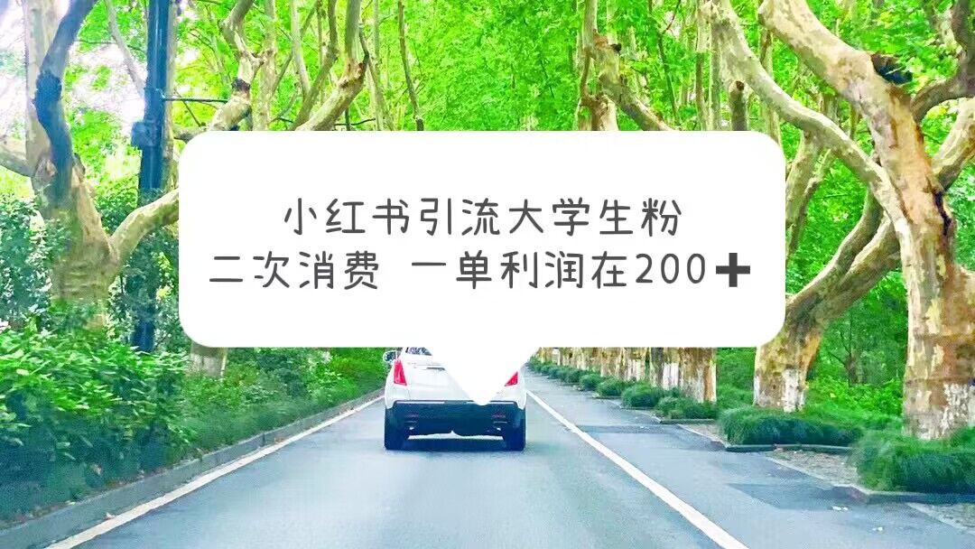 （5914期）小红书引流大学生粉，变现项目，一单利润在200+（教程+资源）-创奇社