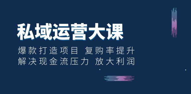 （6455期）私域运营大课：爆款打造项目 复购率提升 解决现金流压力 放大利润-创奇社