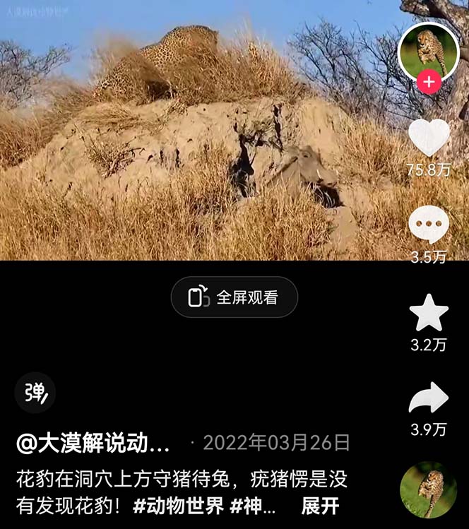 （6312期）外面卖1699的国外纪录片解说（动物解说、美食、动画片）稳过中视频-创奇社