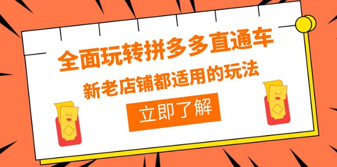 （6294期）全面玩转拼多多直通车，新老店铺都适用的玩法（12节精华课）-创奇社
