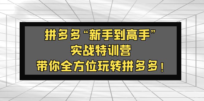 （5173期）拼多多“新手到高手”实战特训营：带你全方位玩转拼多多！-创奇社