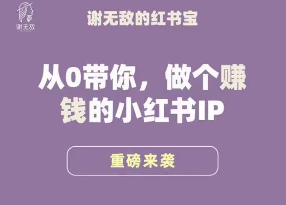 谢无敌·小红书运营大宝典，从0带你做个赚钱的小红书IP-创奇社 - AI前沿·副业变现·资源教程！