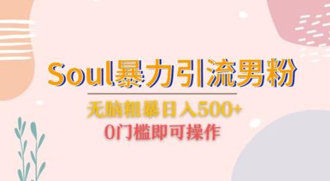 Soul暴力引流男粉玩法，无脑粗暴日入500＋，0门槛即可操作【揭秘】-创奇社 - AI前沿·副业变现·资源教程！