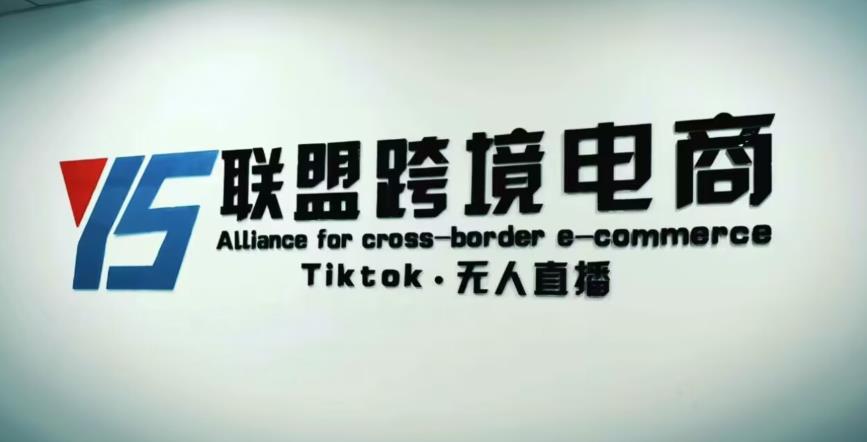 YS联盟·Tiktok无人直播，不出镜不剪辑不拍摄不发货无售后的跨境短视频躺赚玩法-创奇社 - AI前沿·副业变现·资源教程！