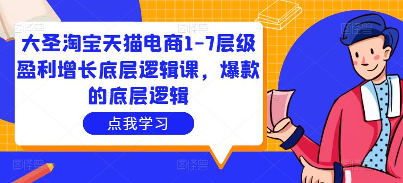 大圣淘宝天猫电商1-7层级盈利增长底层逻辑课，爆款的底层逻辑-创奇社 - AI前沿·副业变现·资源教程！