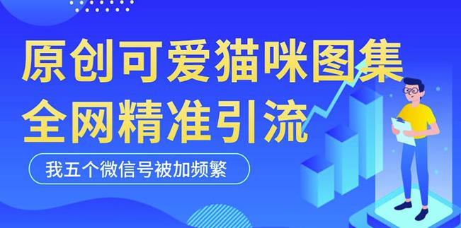 黑科技纯原创可爱猫咪图片，全网精准引流，实操5个VX号被加频繁-创奇社 - AI前沿·副业变现·资源教程！