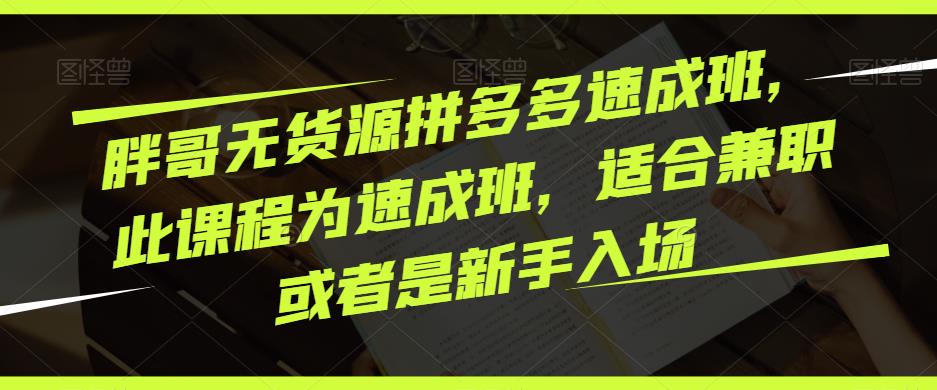 胖哥无货源拼多多速成班，此课程为速成班，适合兼职或者是新手入场-创奇社 - AI前沿·副业变现·资源教程！