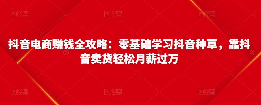 抖音电商赚钱全攻略：零基础学习抖音种草，靠抖音卖货轻松月薪过万-创奇社 - AI前沿·副业变现·资源教程！