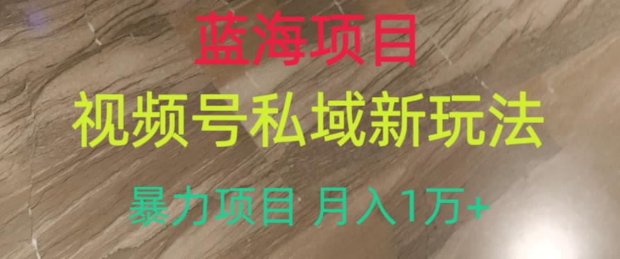 藍海項目，視頻号私域新玩法，暴力項目月入1萬+【揭秘】