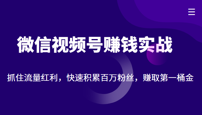 微信视频号赚钱实战：抓住流量红利，快速积累百万粉丝，赚取你的第一桶金-创奇社 - AI前沿·副业变现·资源教程！
