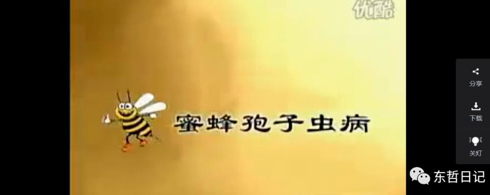 东哲日记：全网首创实物虚拟电商项目，速来捡钱，成本低，一单赚几十块！-4