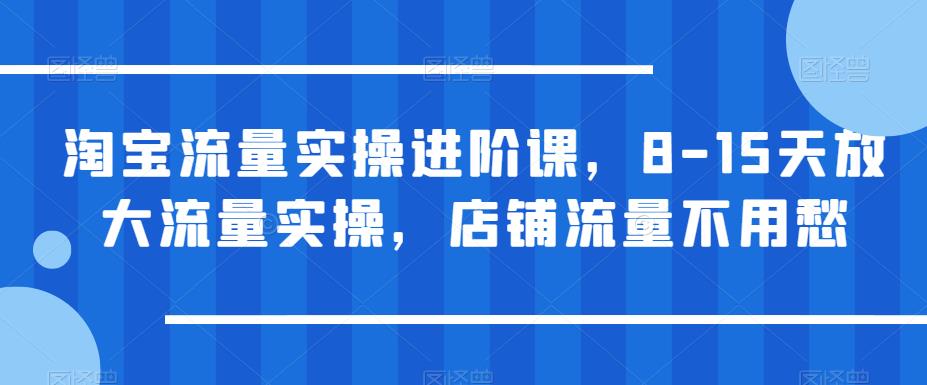 淘宝流量实操进阶课，8-15天放大流量实操，店铺流量不用愁-创奇社 - AI前沿·副业变现·资源教程！