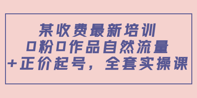 某最新收费培训内容：0粉0作品自然流量+正价起号，全套实操课-创奇社 - AI前沿·副业变现·资源教程！