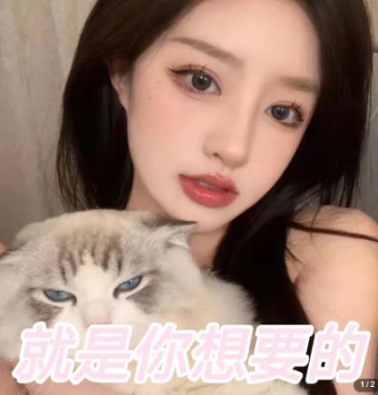 微信交友变现项目，吸引全网LSP男粉精准变现，小白也能轻松上手，日入500+-创奇社 - AI前沿·副业变现·资源教程！