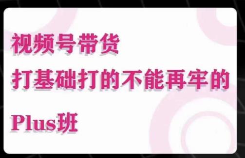 大播汇·视频号带货Puls班，视频号底层逻辑，起号自然流鱼塘等玩法-创奇社 - AI前沿·副业变现·资源教程！