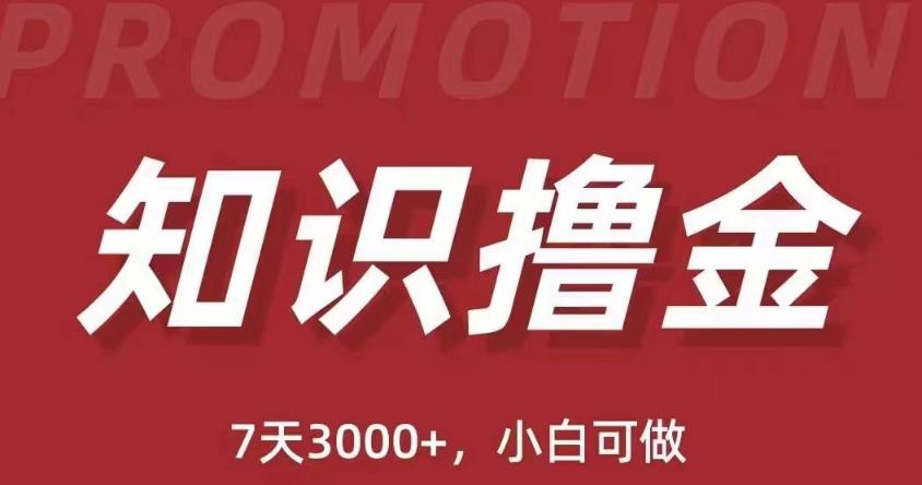 抖音知识撸金项目：简单粗暴日入1000+执行力强当天见收益(教程+资料)-创奇社 - AI前沿·副业变现·资源教程！